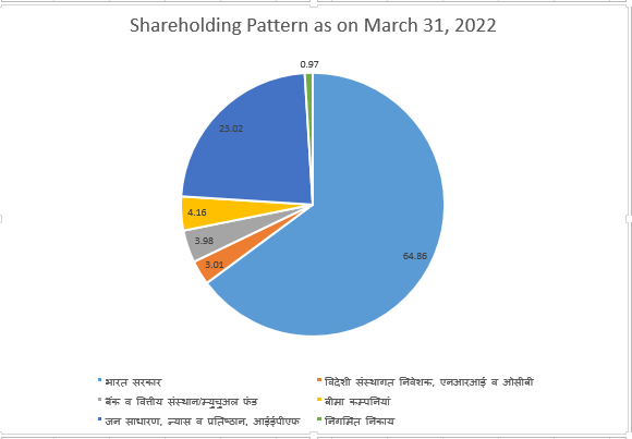 shareholding Eng 2020